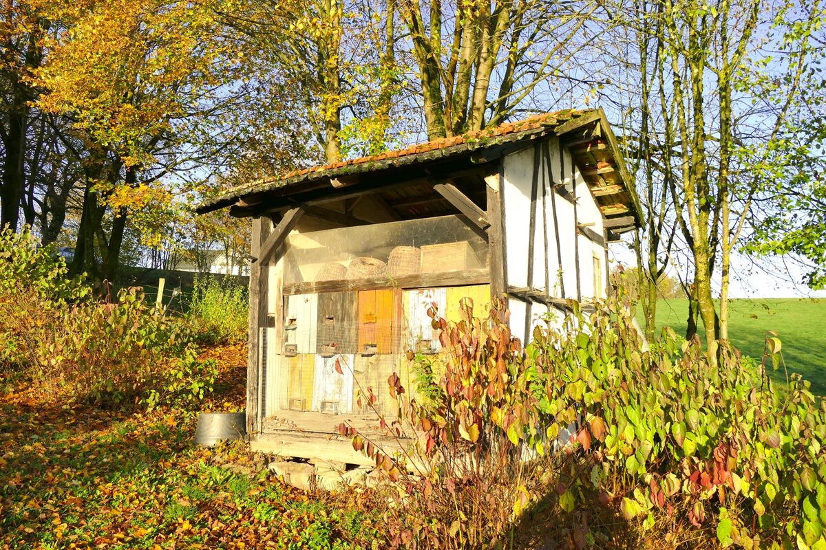 Das historische Bienenhaus im Herbstlaub.